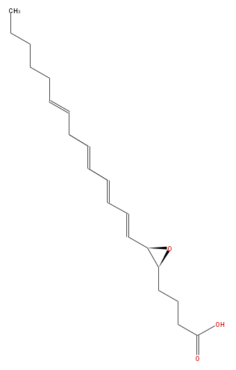 LBF20406LT01.png