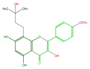 FL5FABNI0002.png