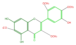 FL5FELNS0008.png