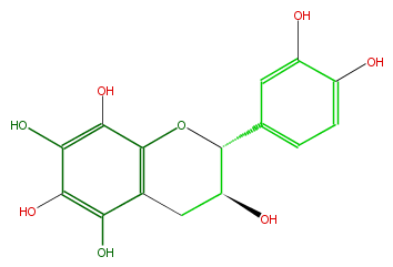 FL63GCNS0001.png