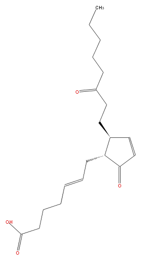 LBF202nnPG05.png