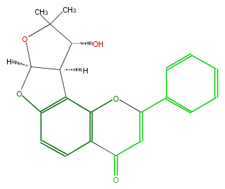 FL3F19NF0005.png
