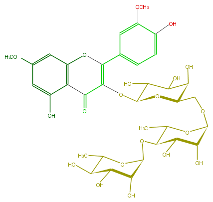 FL5FCDGA0004.png