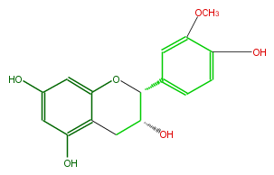 FL63ADNS0001.png