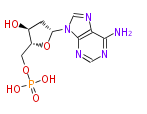 PR100521.png