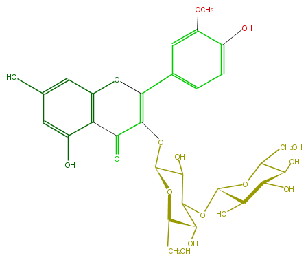 FL5FADGL0008.png