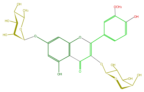 FL5FADGS0013.png
