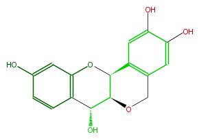 FL6DPTNS0002.png