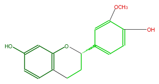 FL6F1CNS0002.png