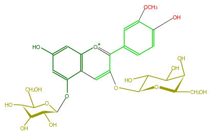FL7AADGA0002.png
