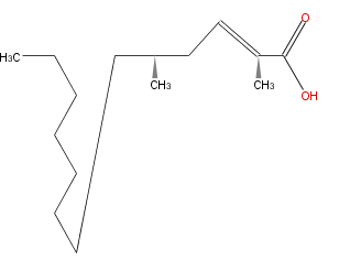 LBF13111BC02.png