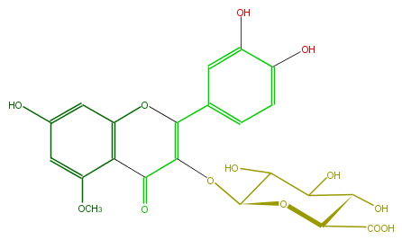 FL5FBCGS0002.png