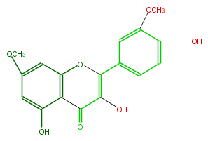 FL5FCDNS0001.png
