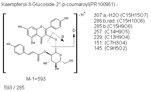Fragmentation:PR100961n.png