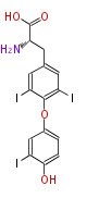 BMACBZHLt001.png