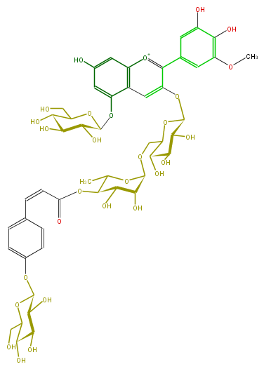 FL7AAHGL0022.png