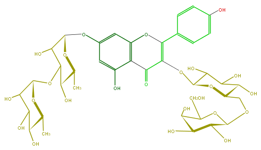 FL5FAAGL0058.png