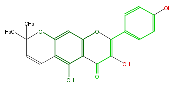 FL5FAANP0001.png