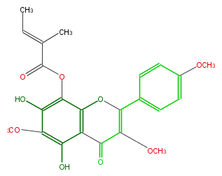 FL5FGANI0003.png