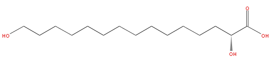 LBF15000HO03.png