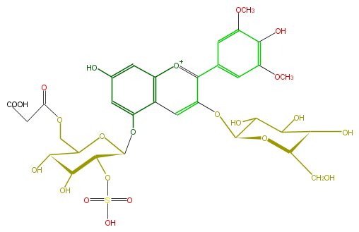 FL7AAIGLS002.png