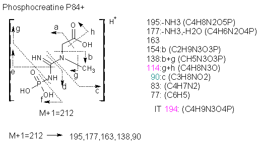 Fragmentation:KOX00843p.png