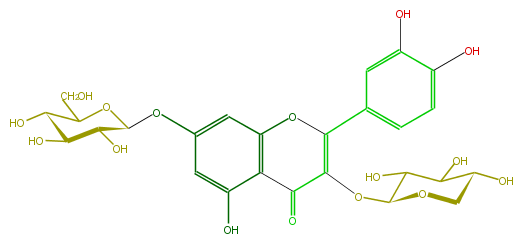 FL5FACGS0031.png