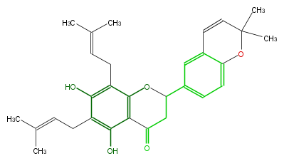 FL2FAANP0006.png