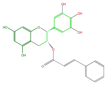 FL63AGNN0001.png
