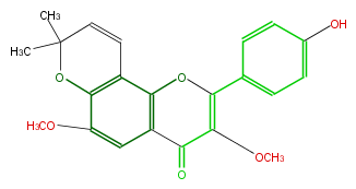 FL5F2ANP0001.png