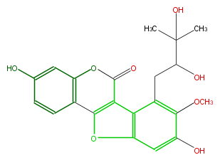 FLIE1CNI0003.png