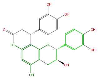 FL63ACNN0004.png