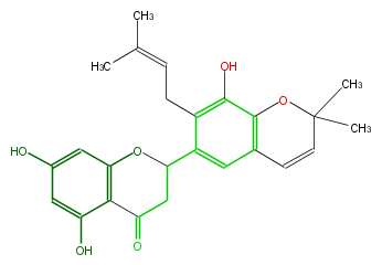 FL2FACNP0004.png
