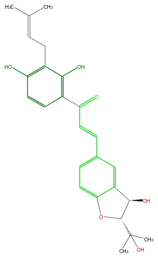 FL1C1ANF0005.png