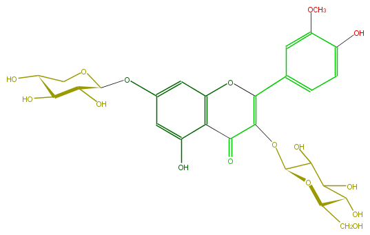 FL5FADGL0013.png