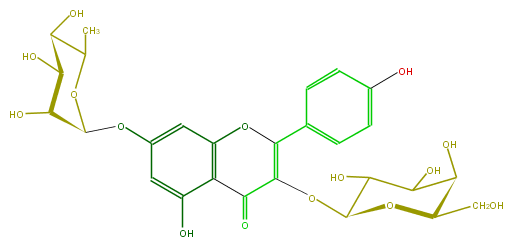 FL5FAAGA0011.png