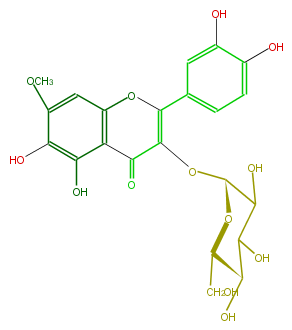 FL5FECGL0008.png