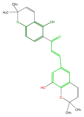 FL1C1ANP0010.png