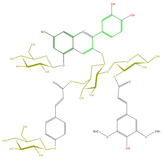 FL7AACGL0091.png