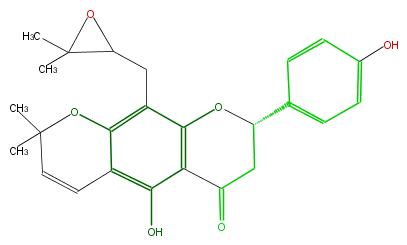 FL2FAANP0016.png