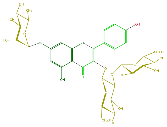 FL5FAAGL0036.png
