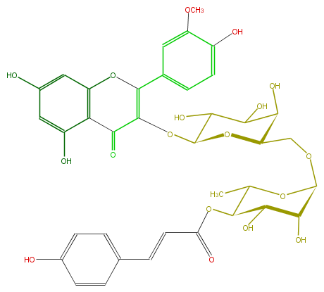 FL5FADGA0024.png