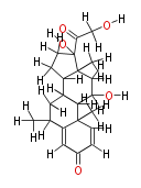 COX00002.png