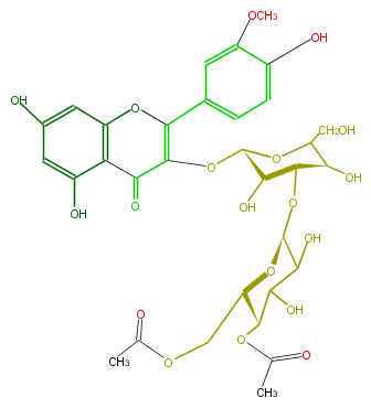 FL5FADGA0022.png