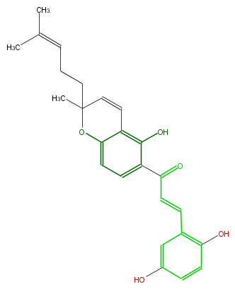 FL1C18NP0001.png