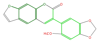 FLIH1LNF0001.png