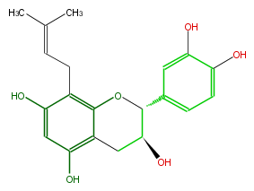 FL63ACNI0002.png