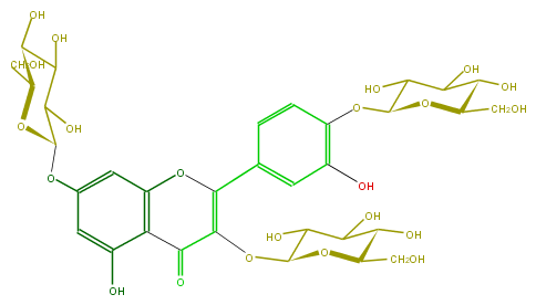 FL5FACGL0050.png