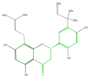 FL2FALNI0032.png