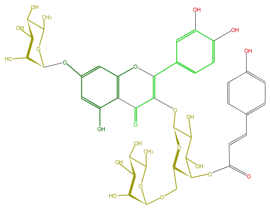 FL5FACGA0044.png